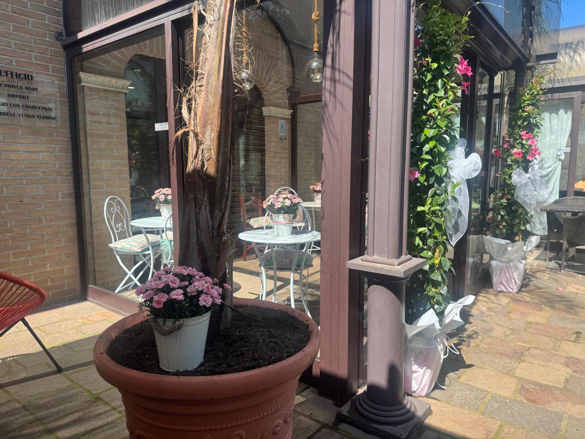 Euro House Airport Hotel 4*
